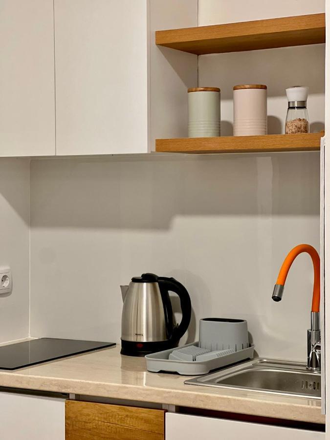 Dani Lux Belgrade Center Studio Apartment Bagian luar foto